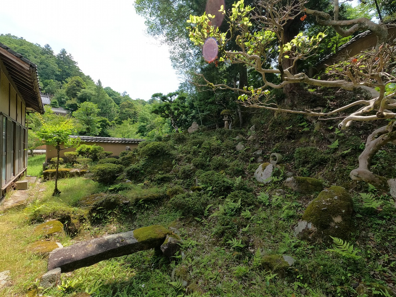 GOPR0565.jpg