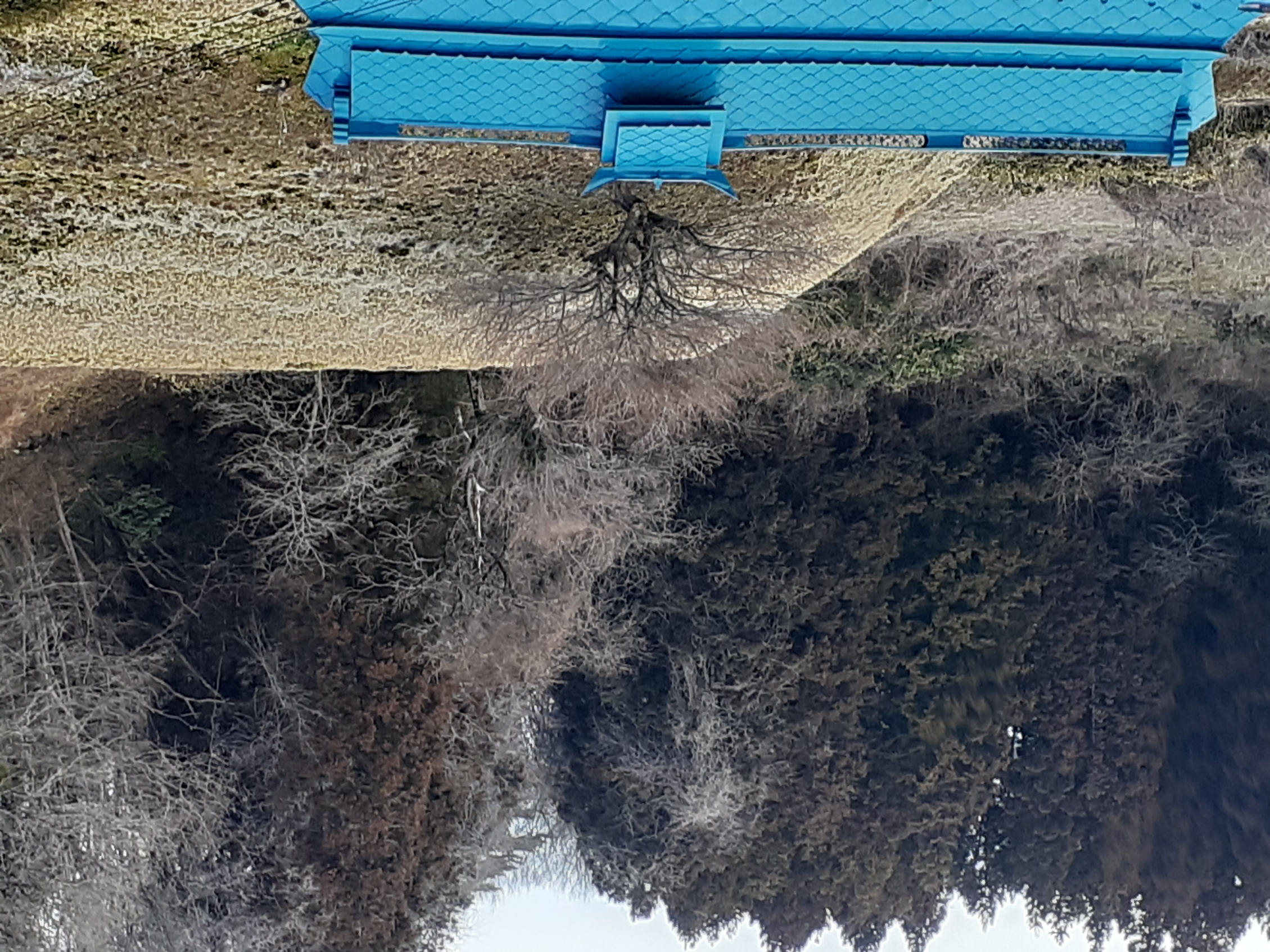 裏山1.jpg