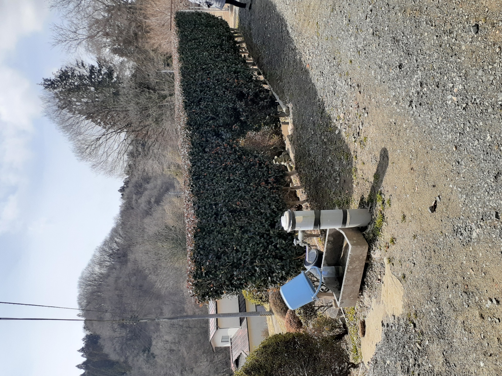 20250312_111042.jpg