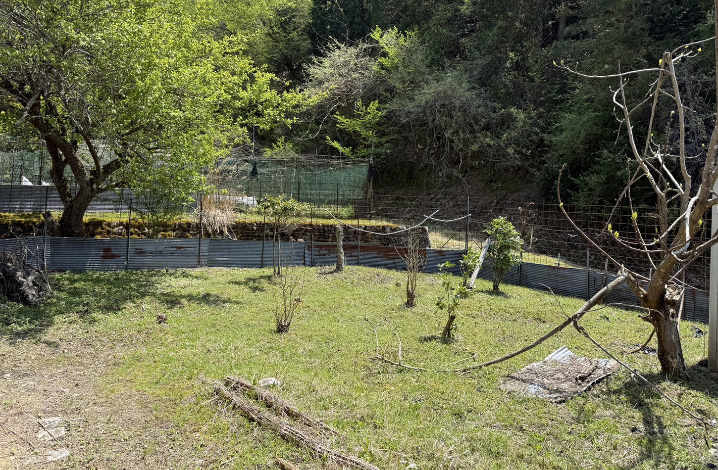 estate_2504yotsuya_07.jpg