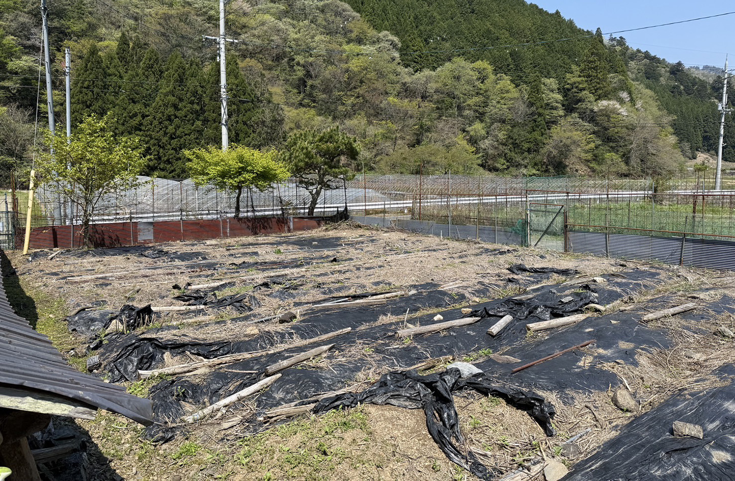 estate_2504yotsuya_08.jpg