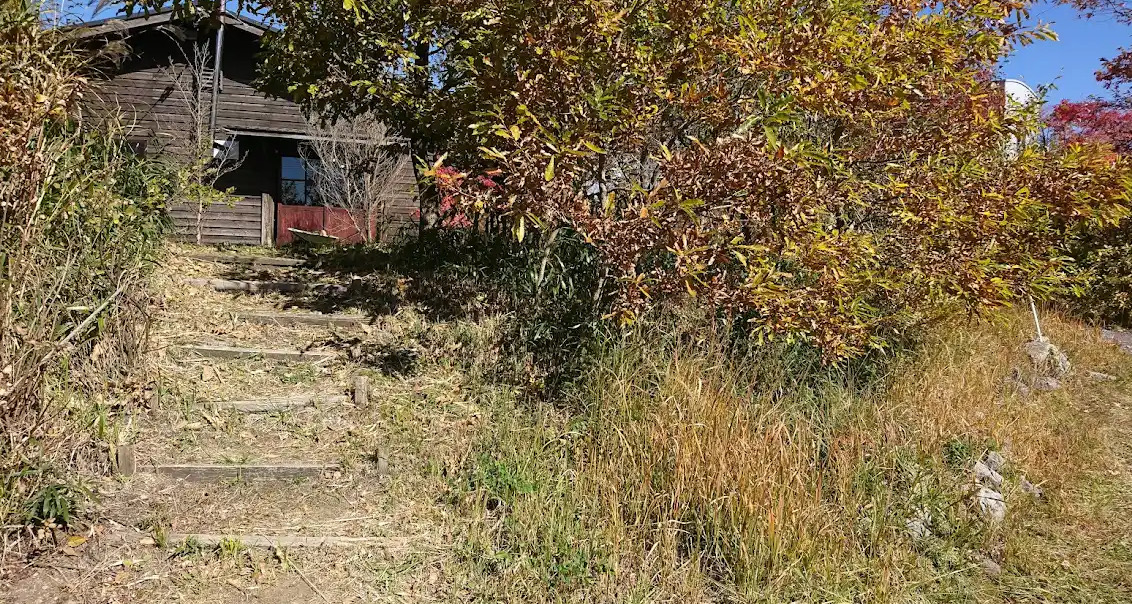 469680E1-8589-40E3-8567-0C3C809932A4.jpg