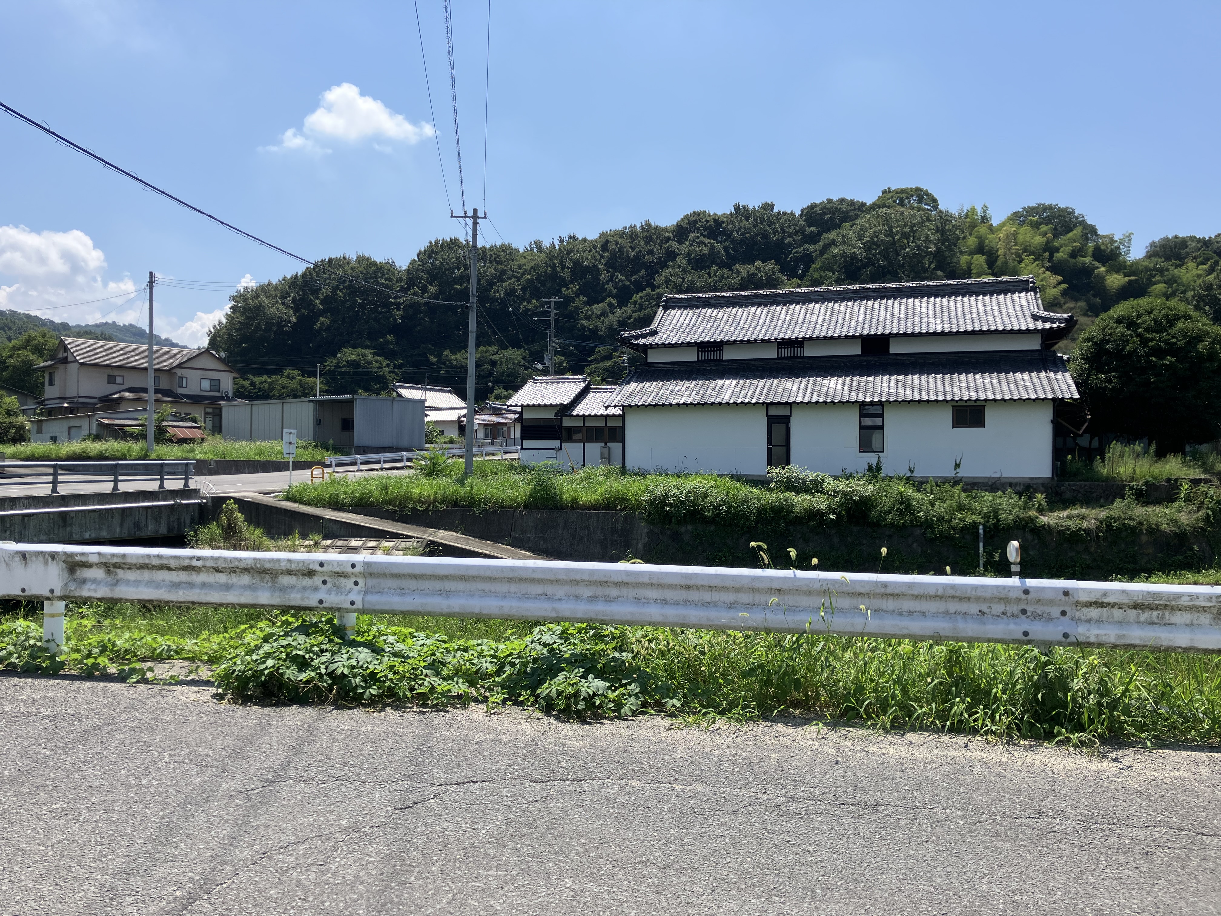 srider_img
