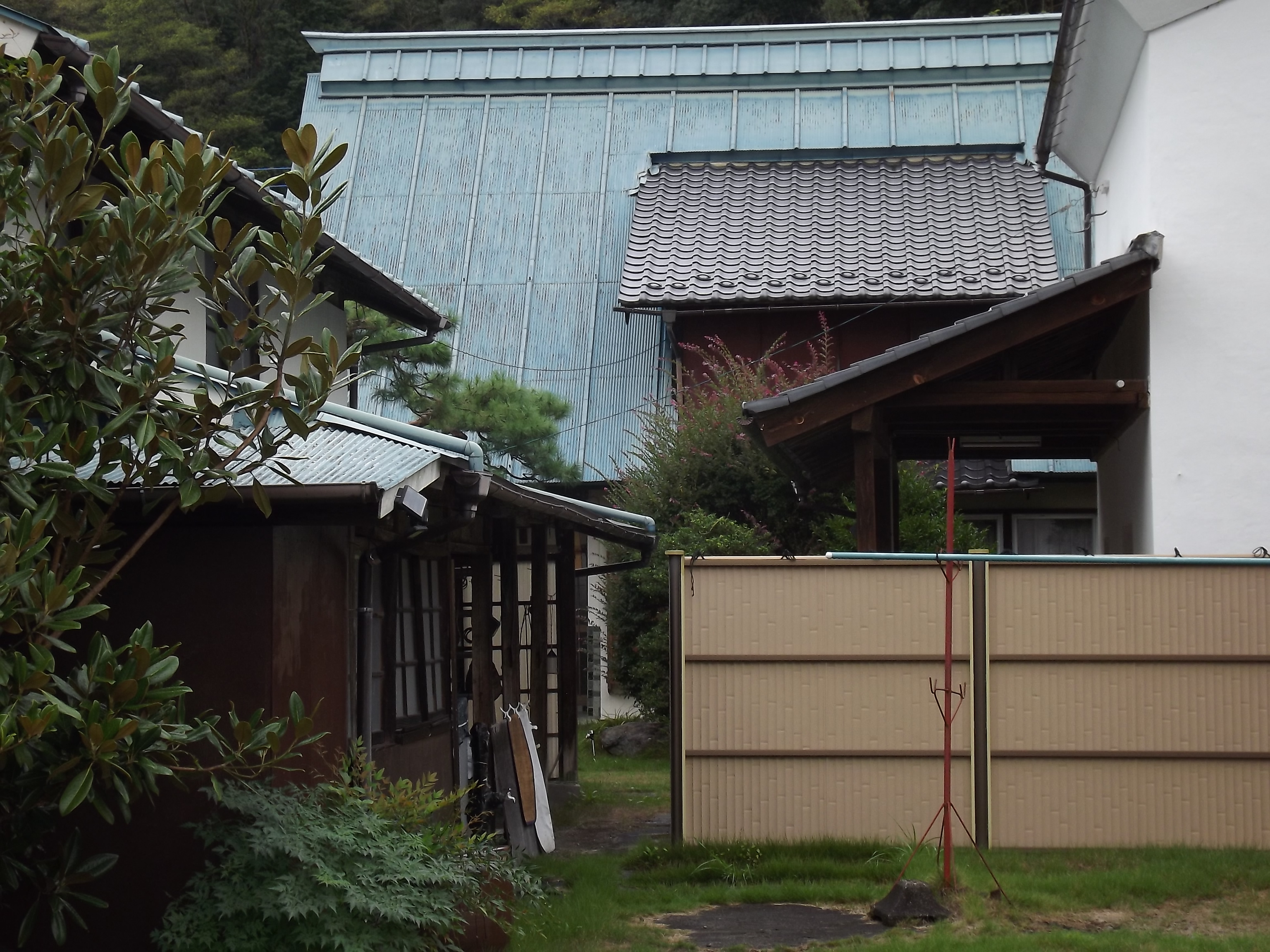 DSCF2229.JPG