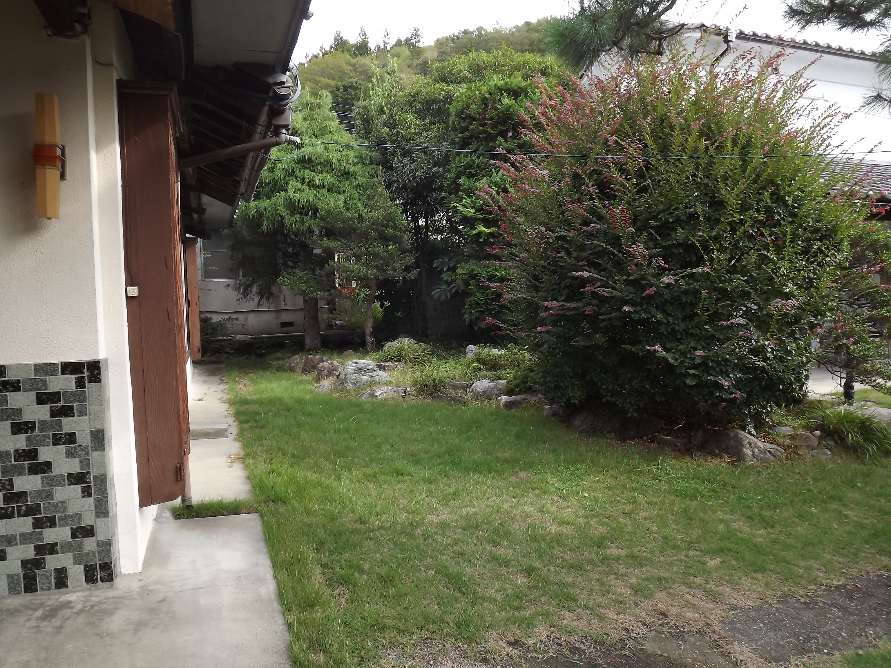 DSCF2273.JPG
