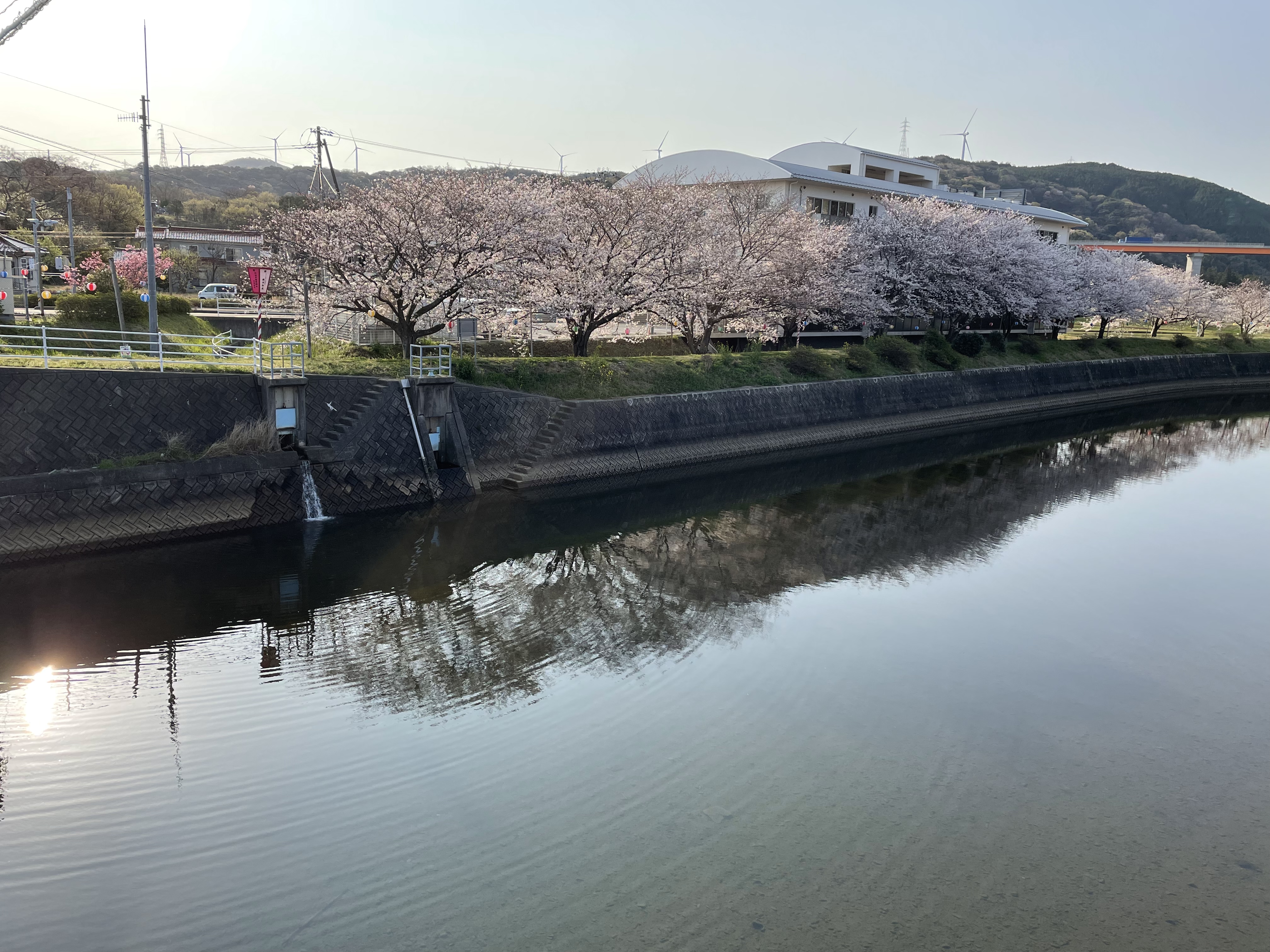 2023-03-29 07.56.51.jpeg