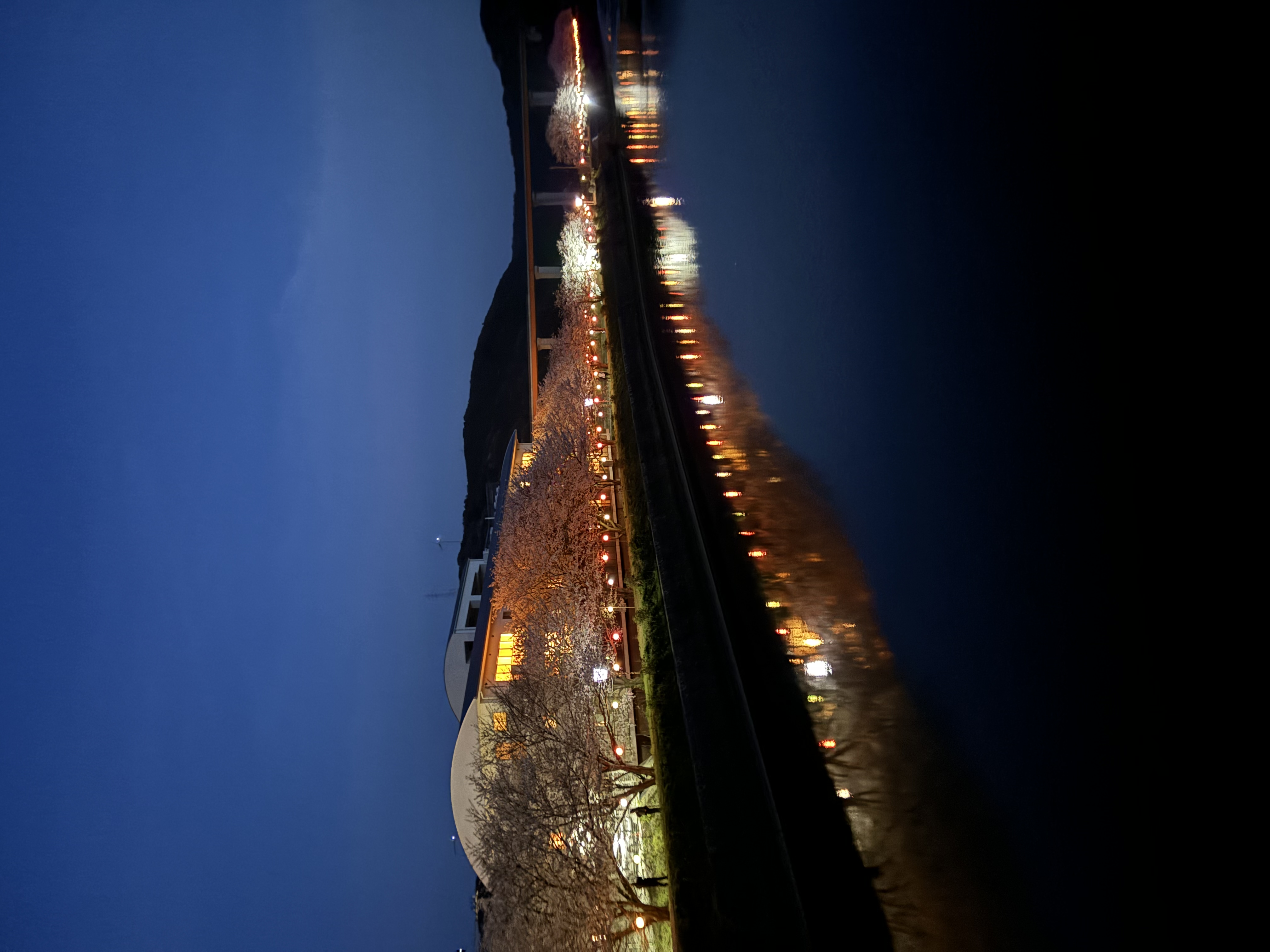 2024-04-05 19.13.50.jpeg