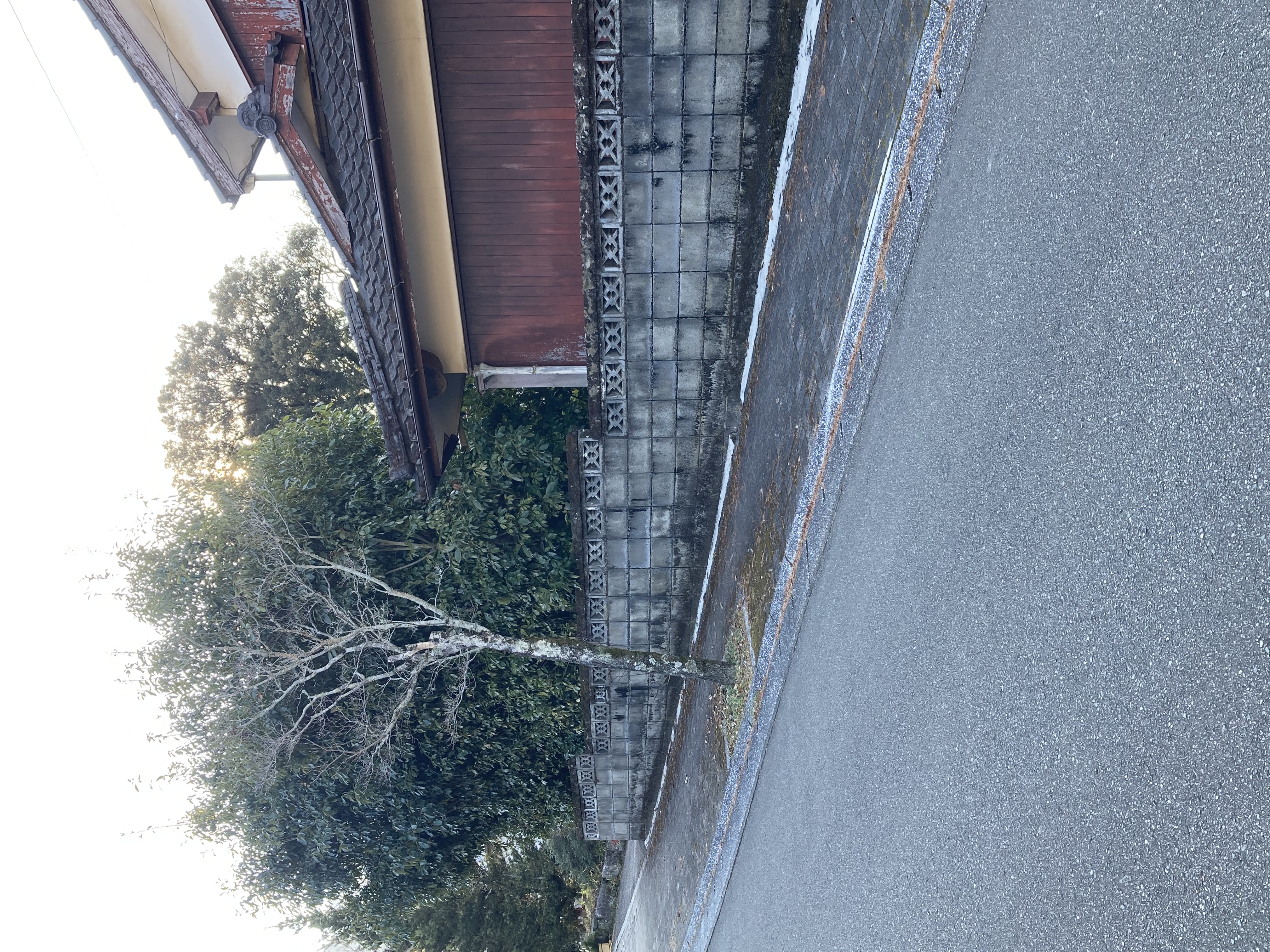 IMG_4916.jpeg