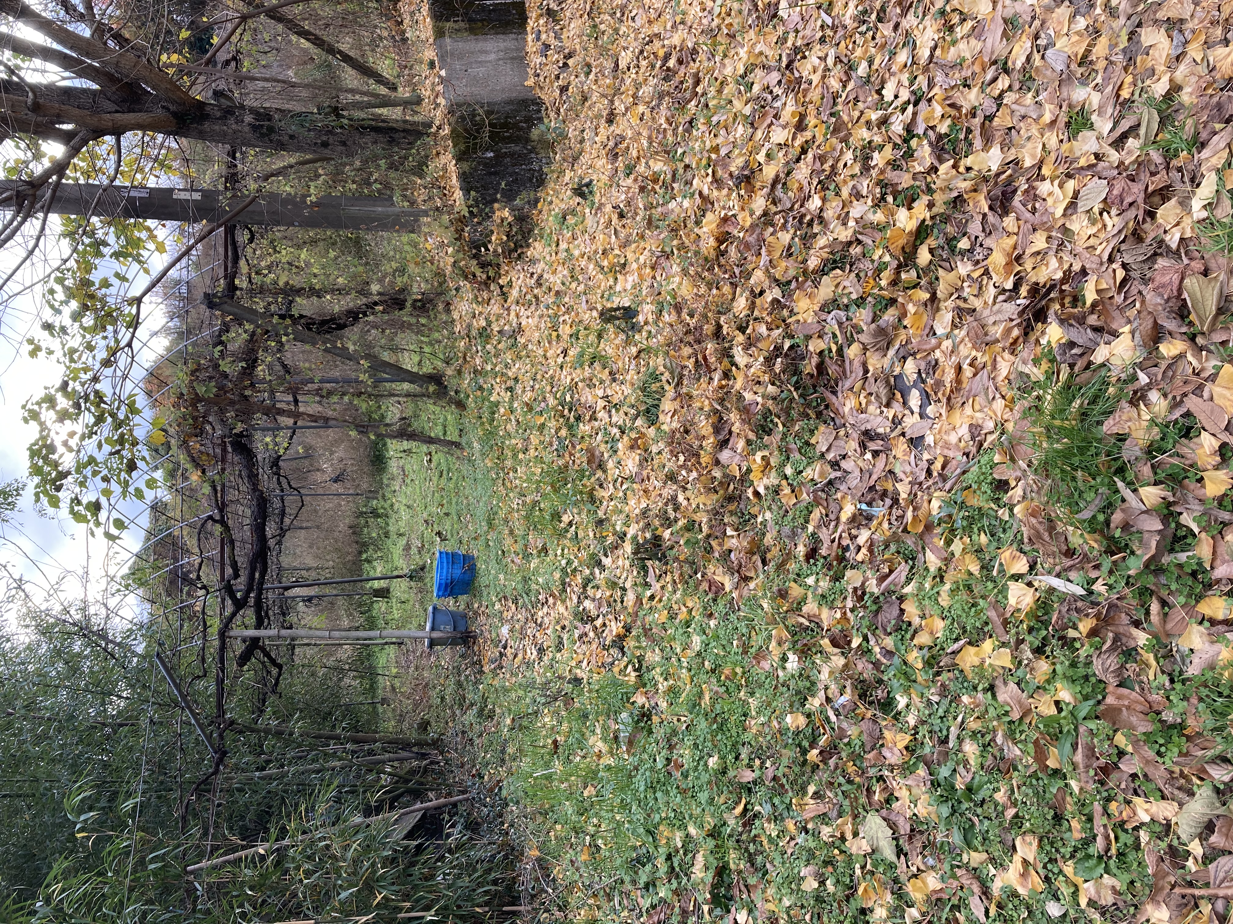IMG_4746.jpeg