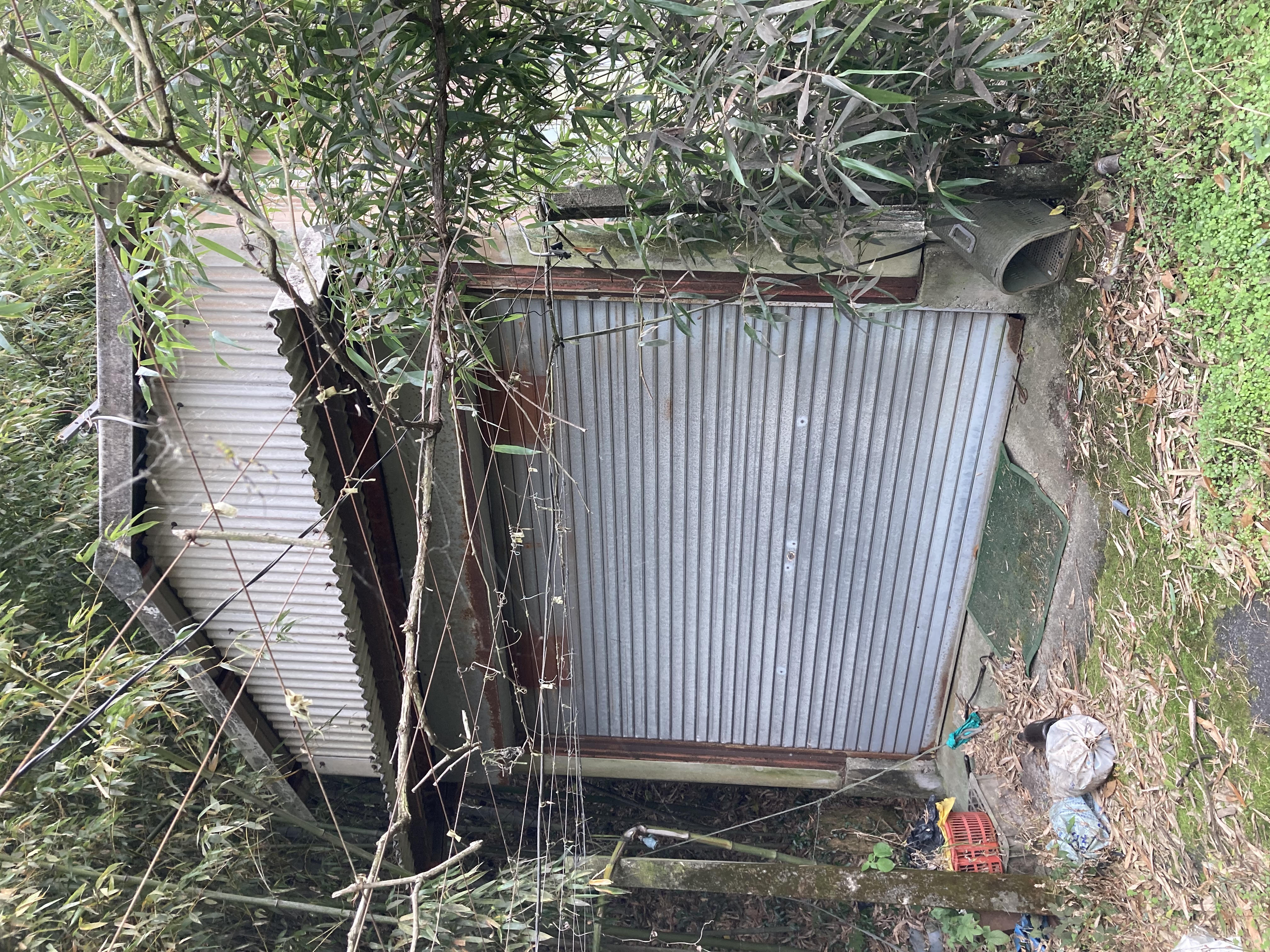 IMG_4739.jpeg
