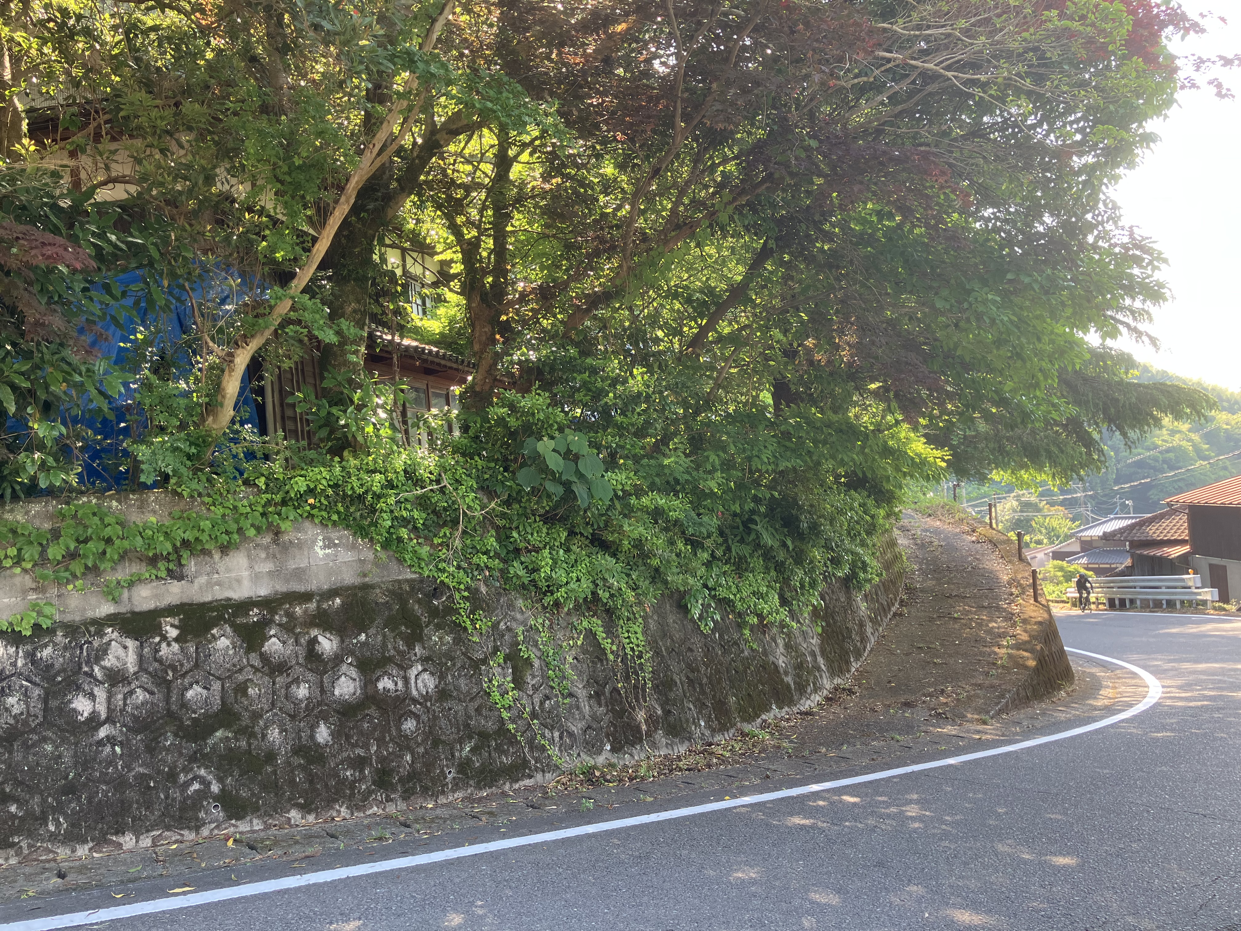 IMG_2025.jpeg