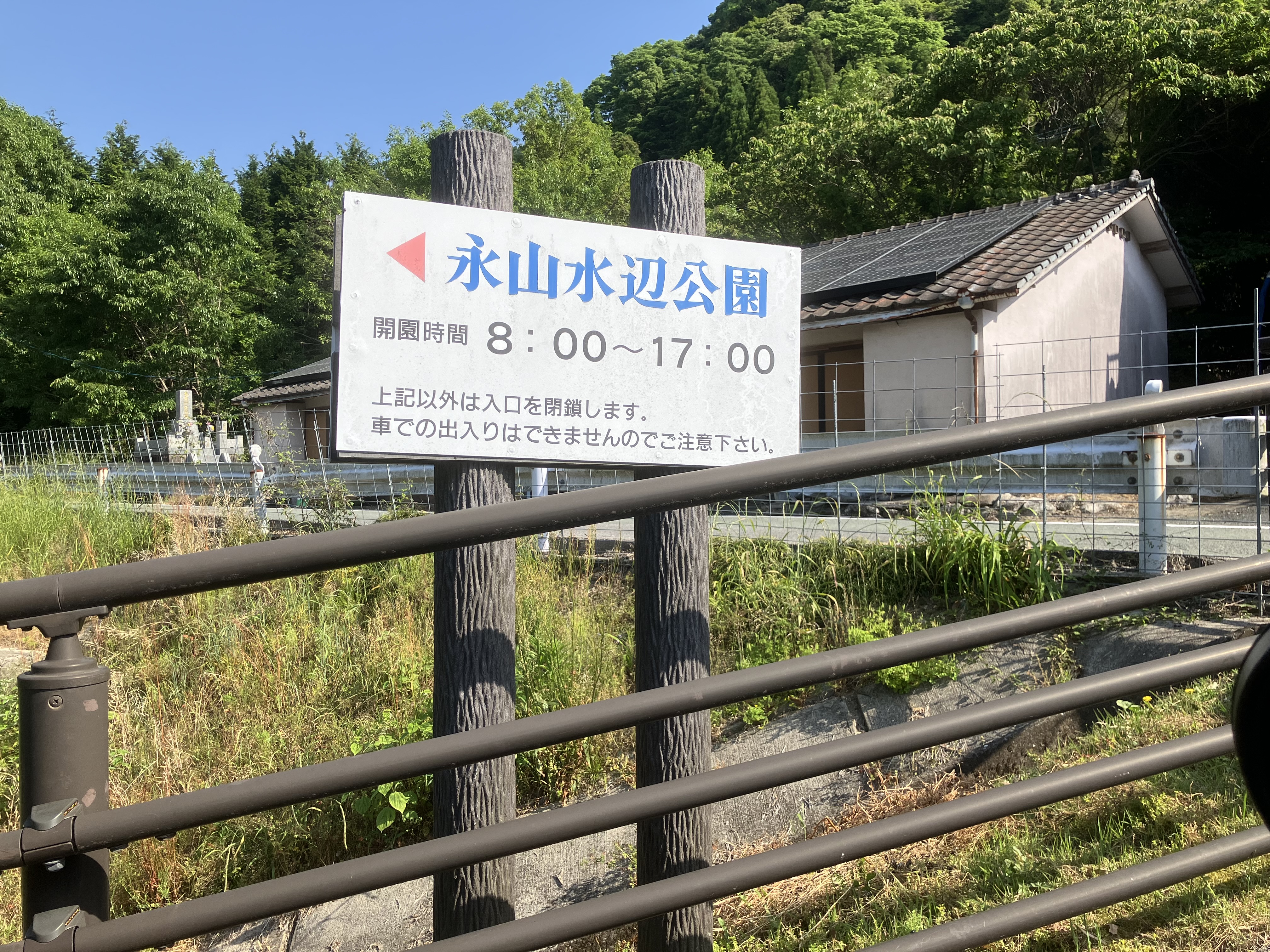 IMG_2074.jpeg