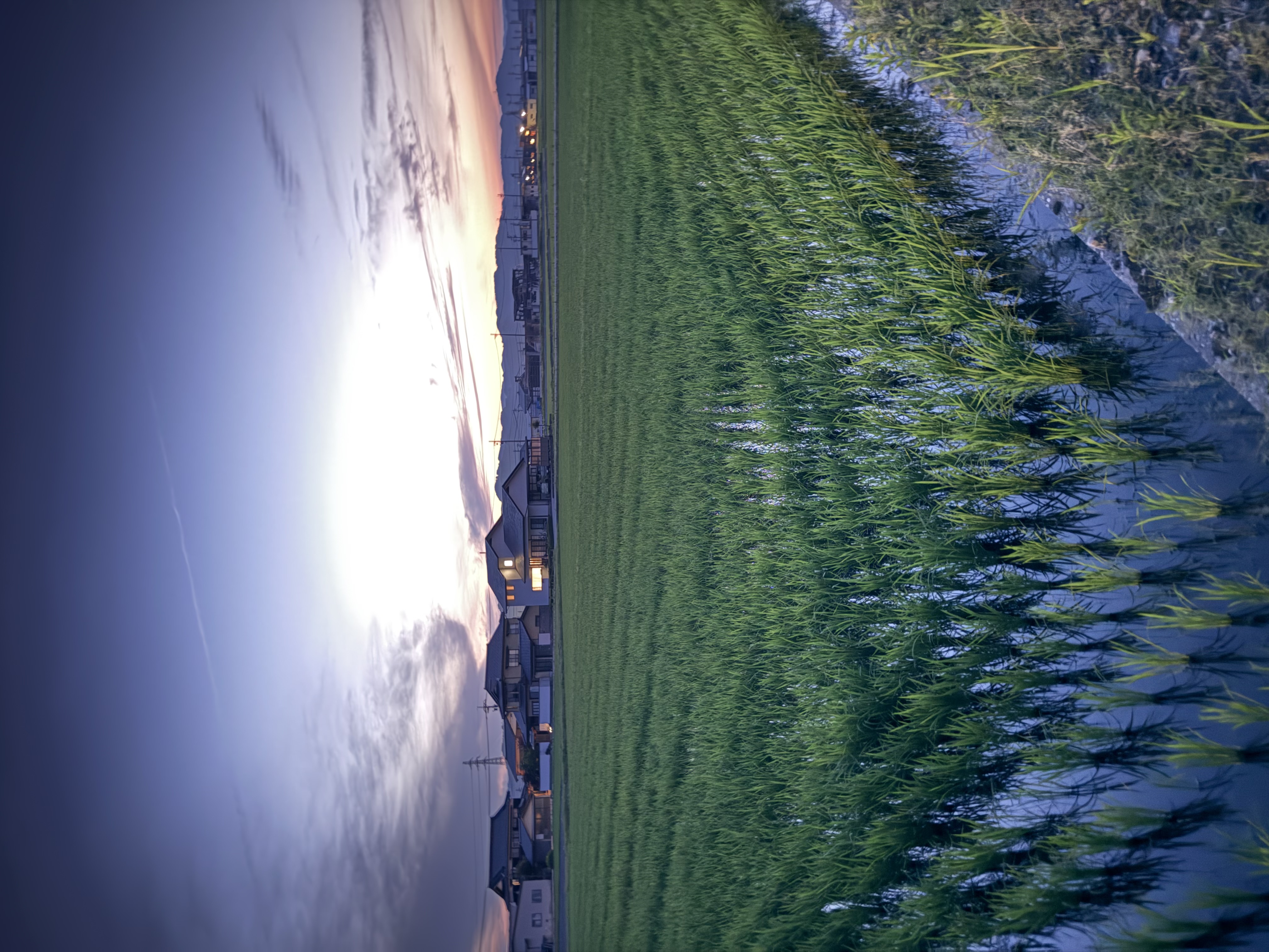 srider_img