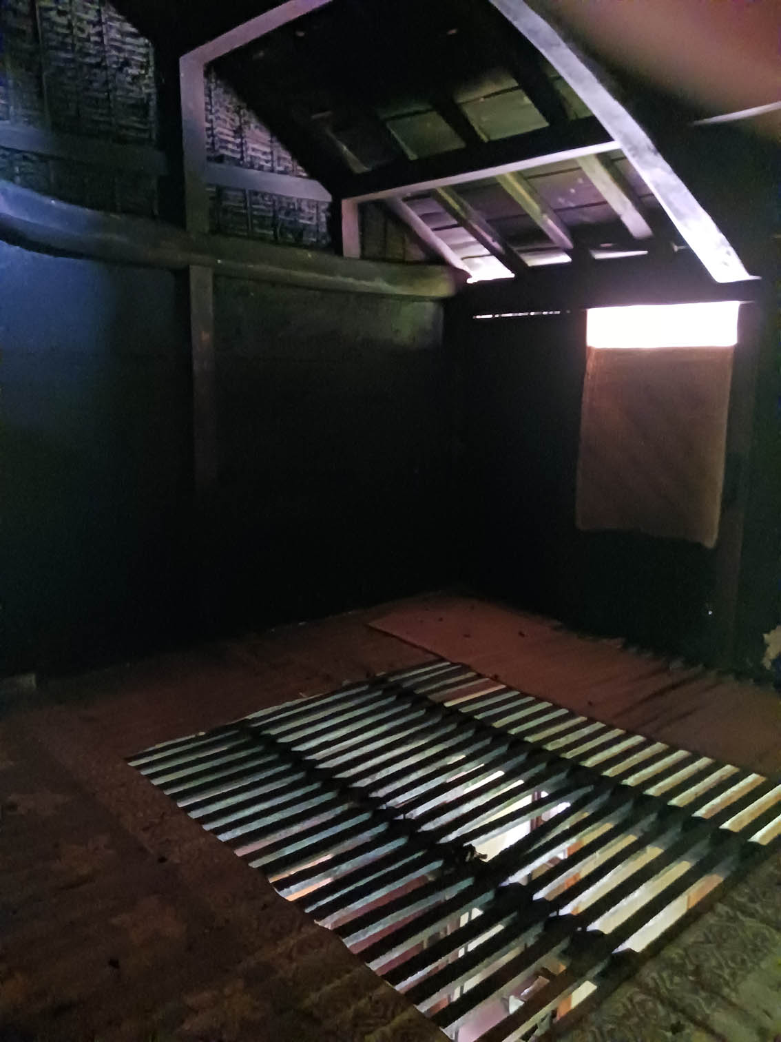 20260711_140228.jpg