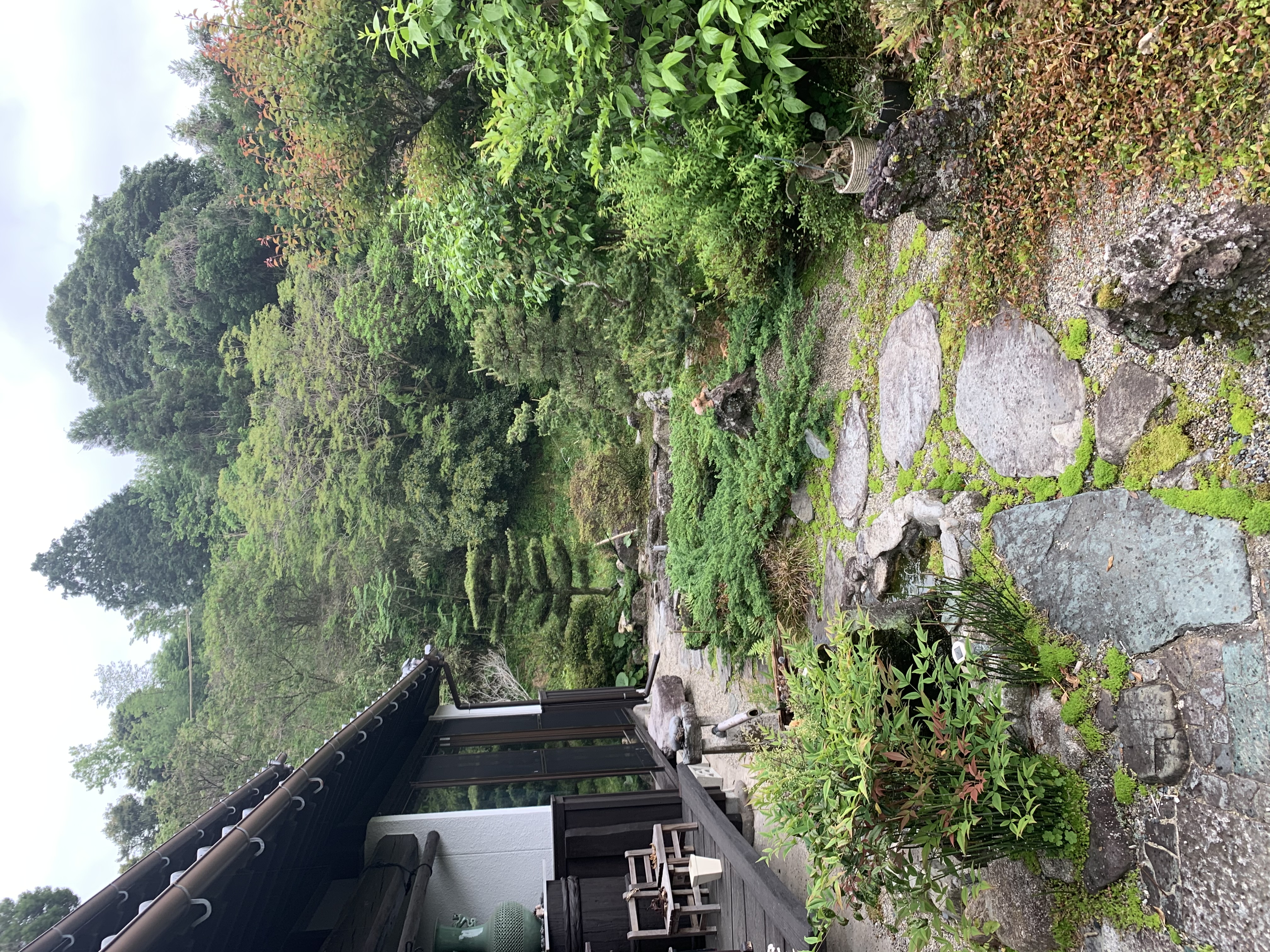 IMG_8309.jpeg