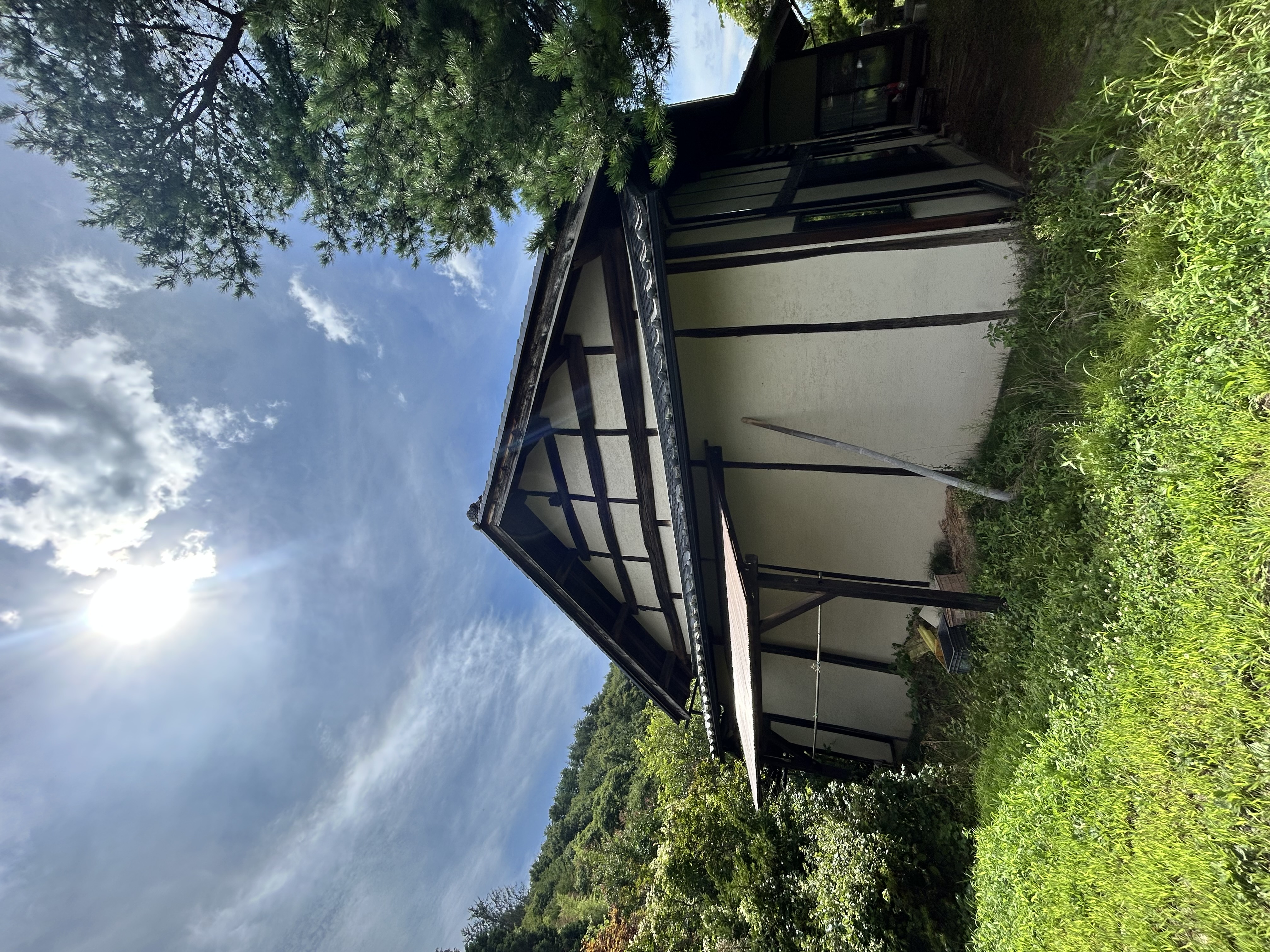 srider_img