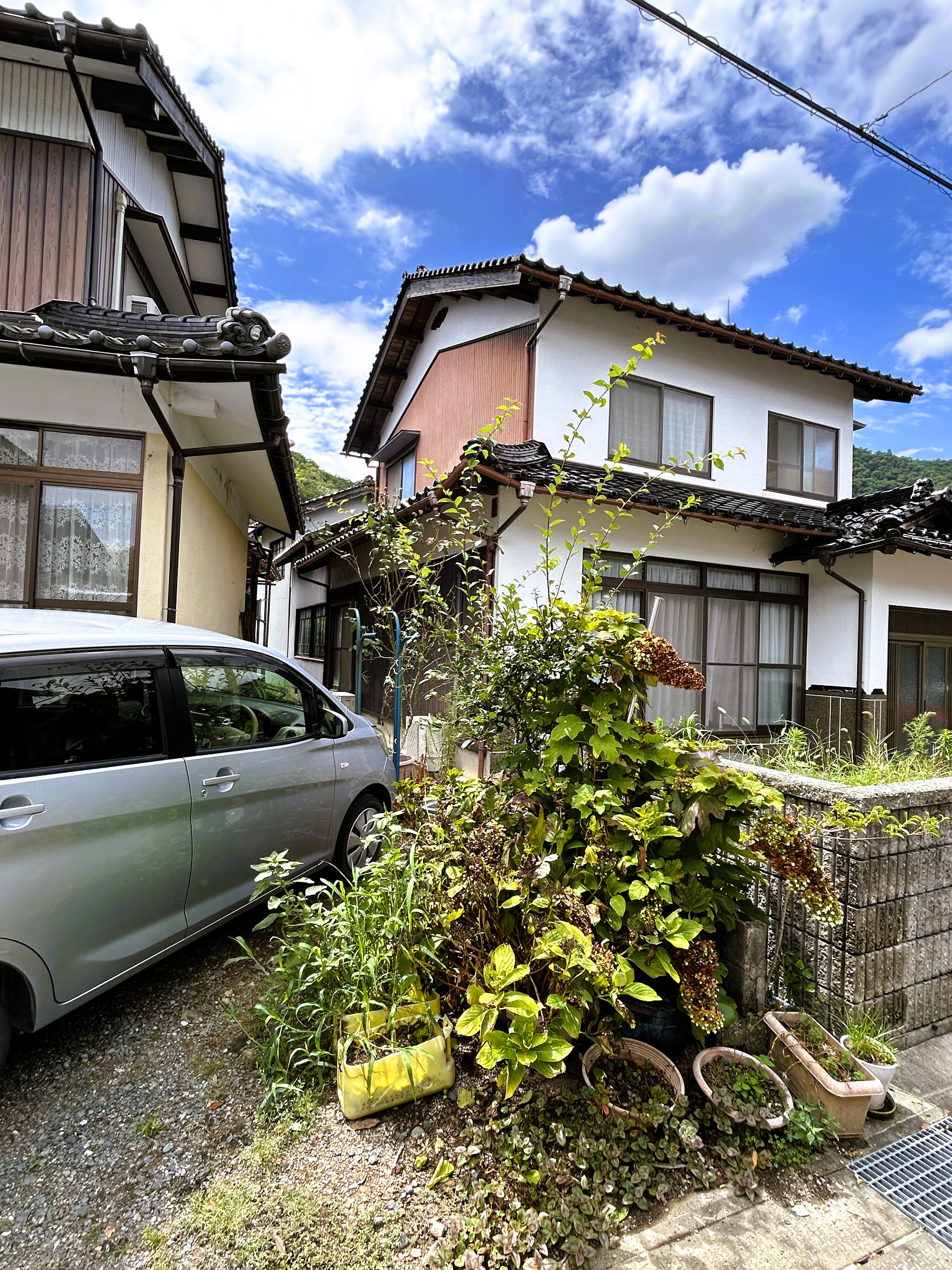 IMG_2435.JPG