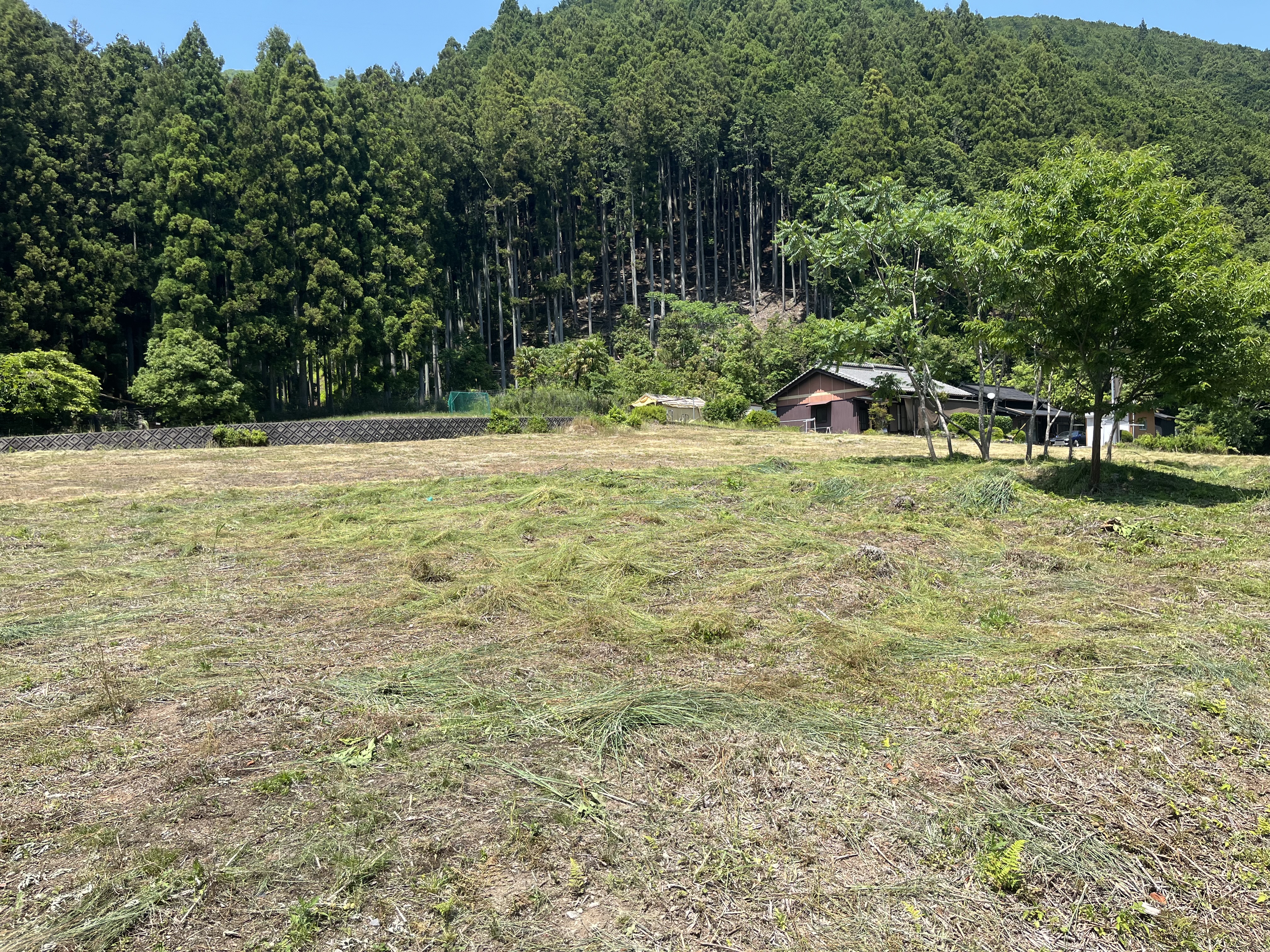 IMG_0674.jpeg