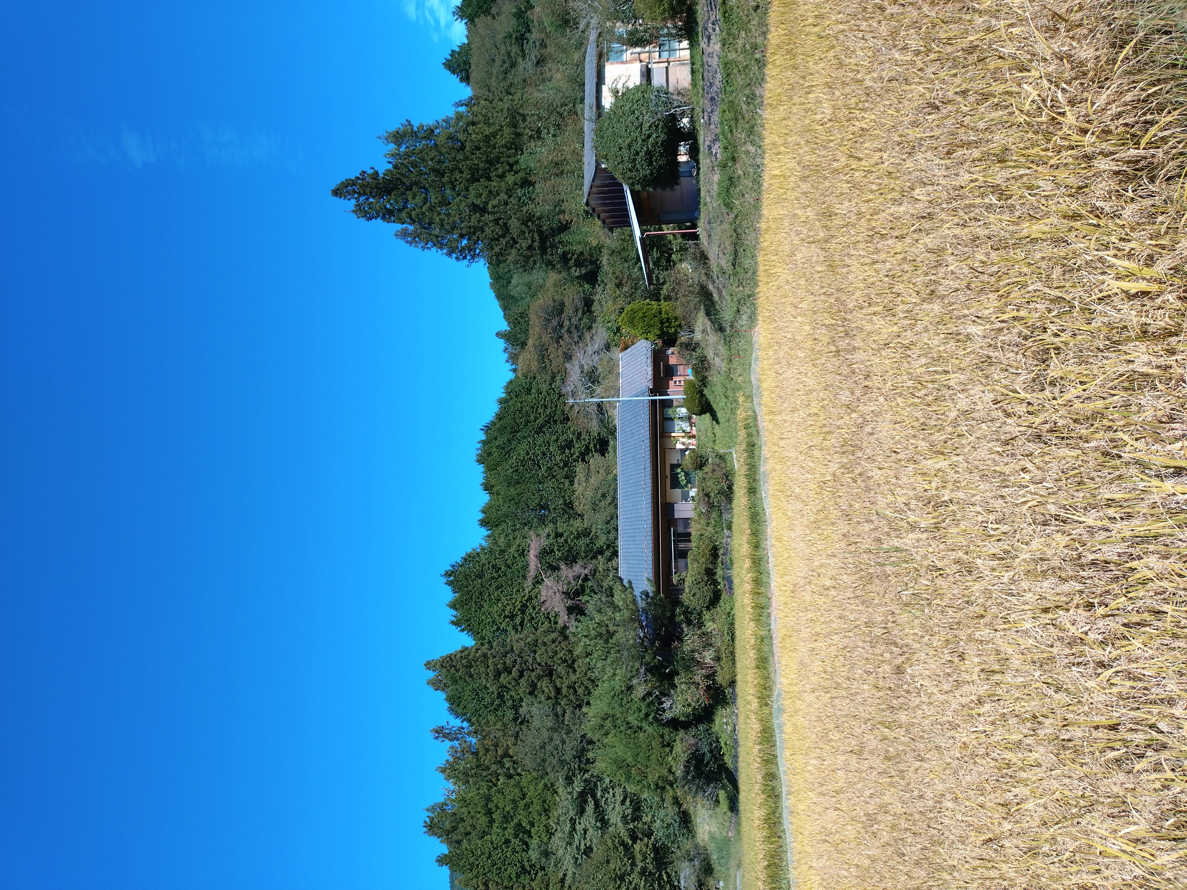 20261002_122037.JPG