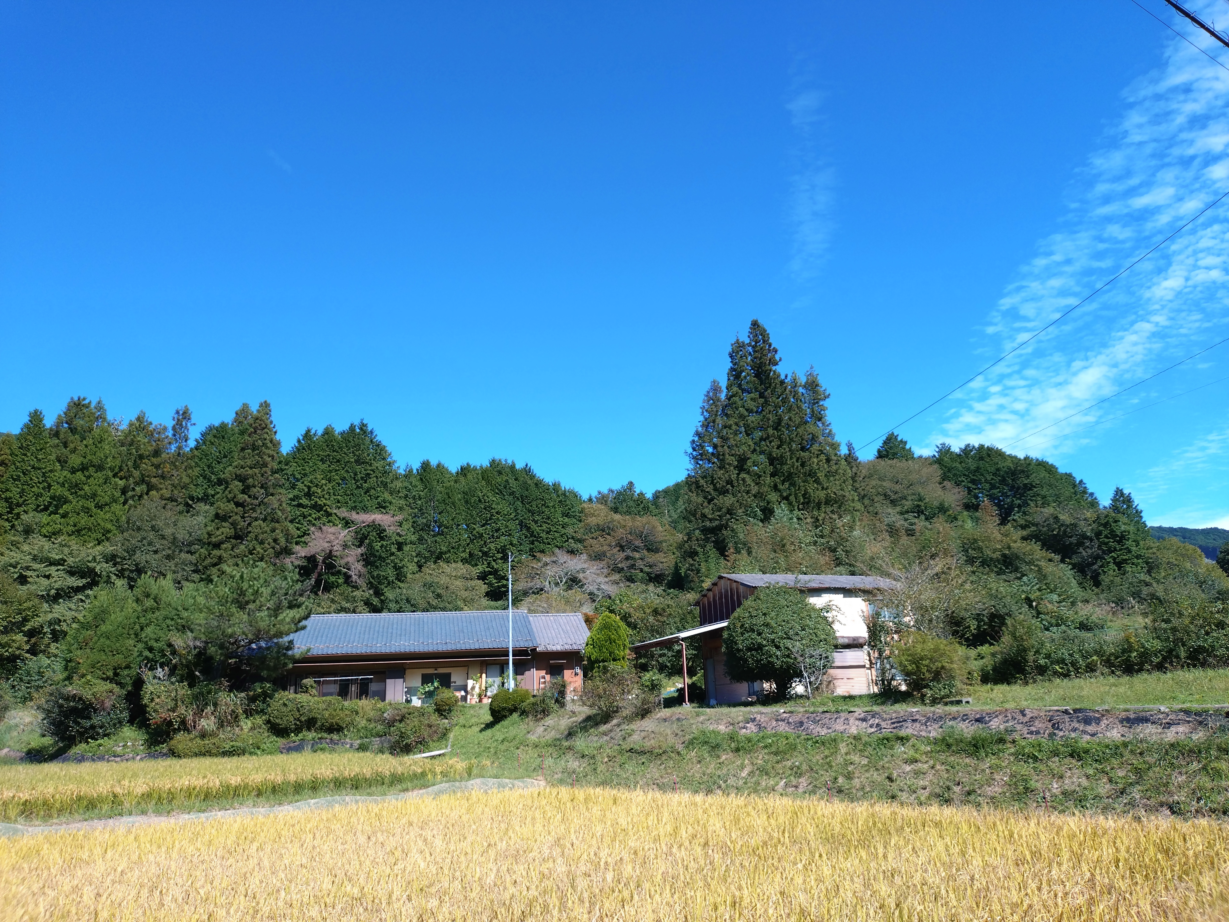 Gifu-ken Kamo-gun Old House